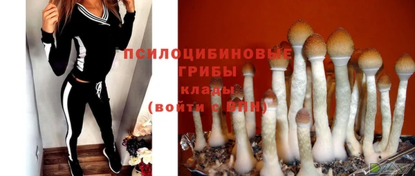таблы Заводоуковск