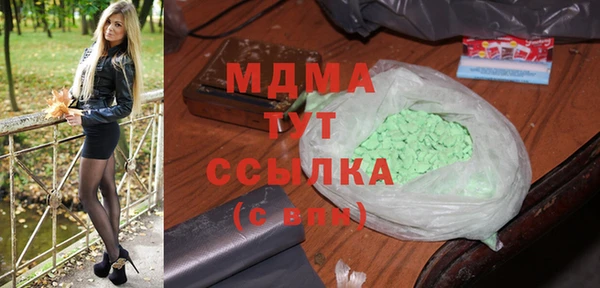 стаф Тайга