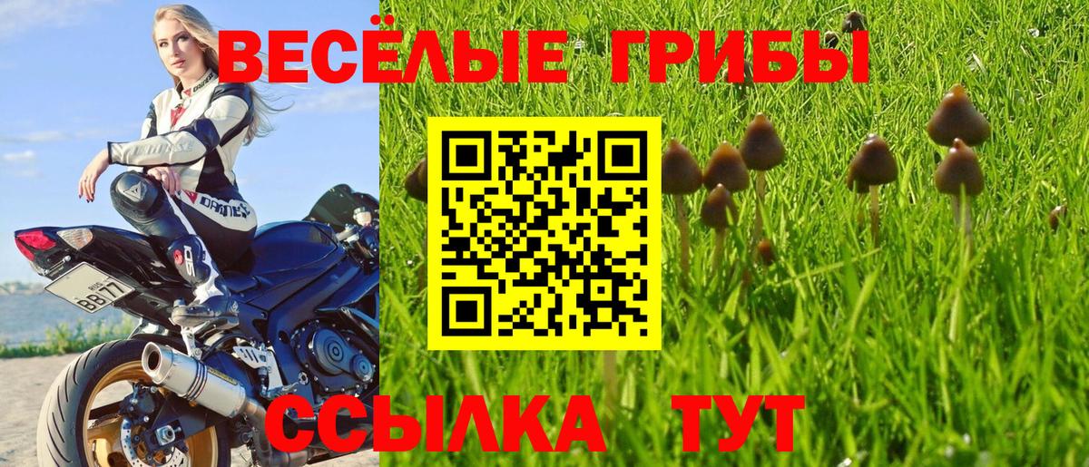 Галлюциногенные грибы MAGIC MUSHROOMS Темрюк