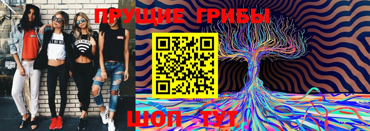 Псилоцибиновые грибы прущие грибы  Вход с VPN  Галлюциногенные грибы прущие грибы  купить наркотики цена  Темрюк 